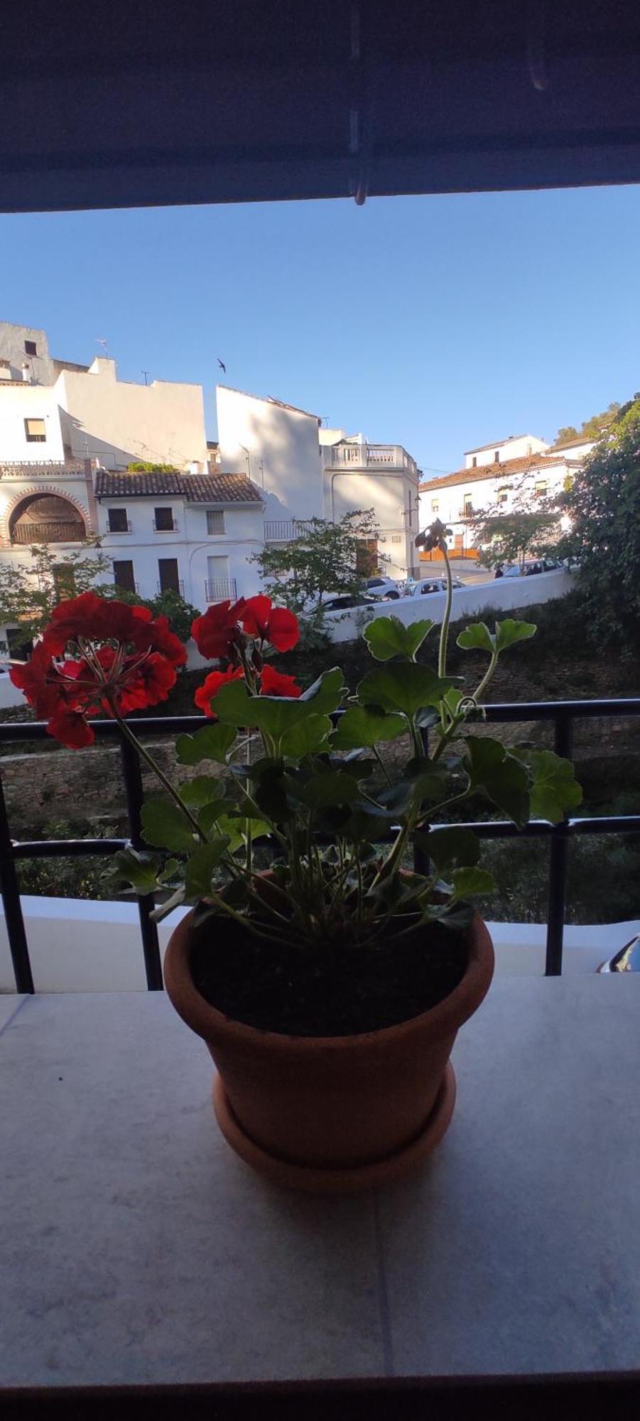 Setenil De Las Bodegas Casa Cueva Las Chicas Del Puente מראה חיצוני תמונה
